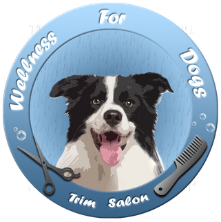 Wellness For Dogs
